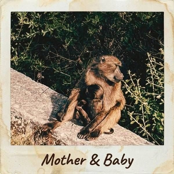 Mother & Baby