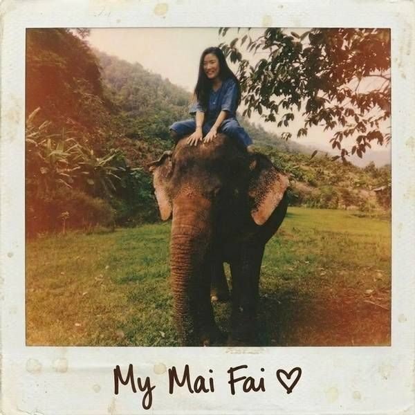 My Mai Fai